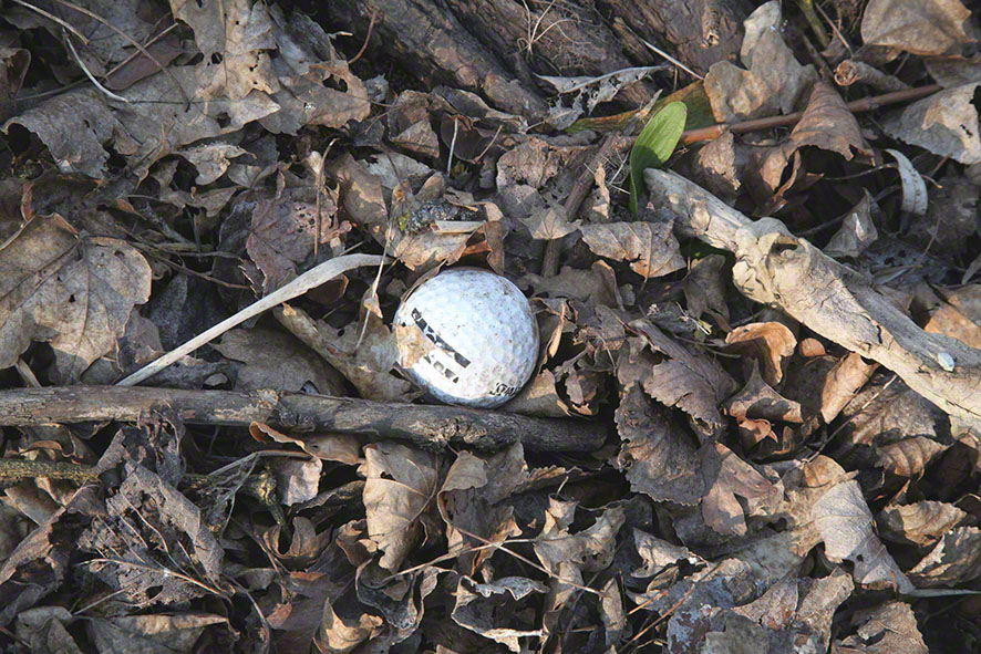 Lusthauswasser, Golfball