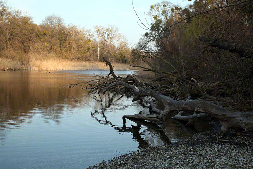 Prater, Lusthauswasser