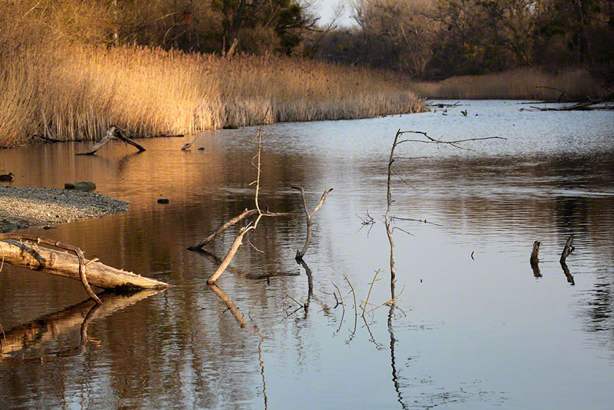 Prater, Lusthauswasser
