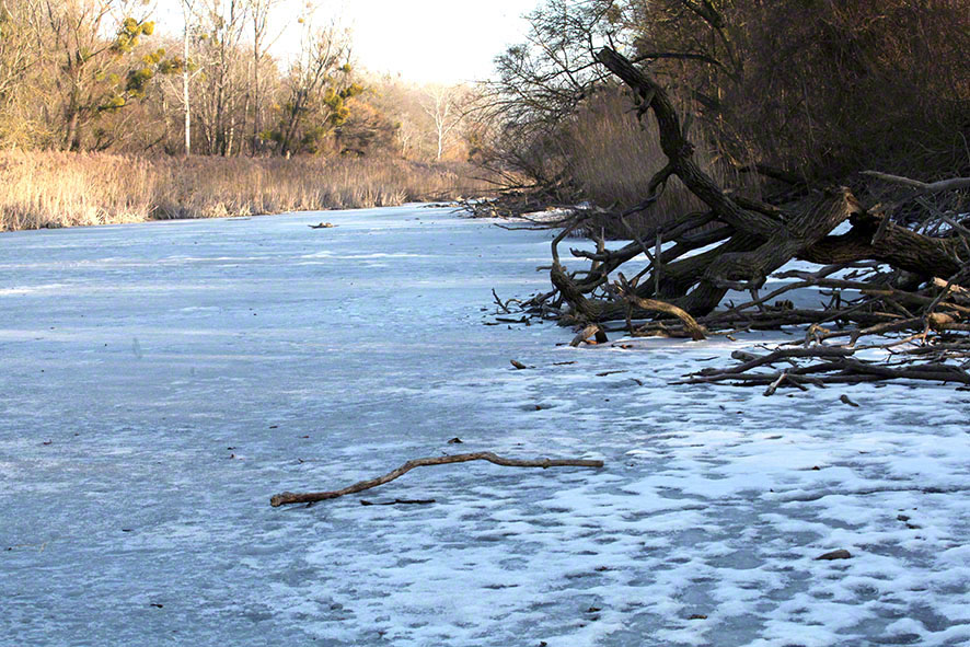 Lusthauswasser, vereist