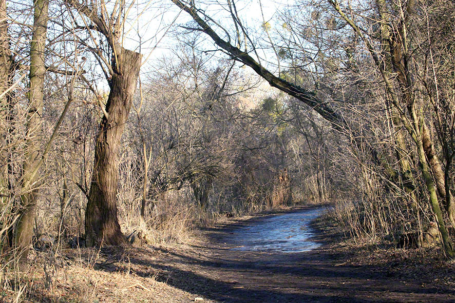 Lusthauswasser, vereist