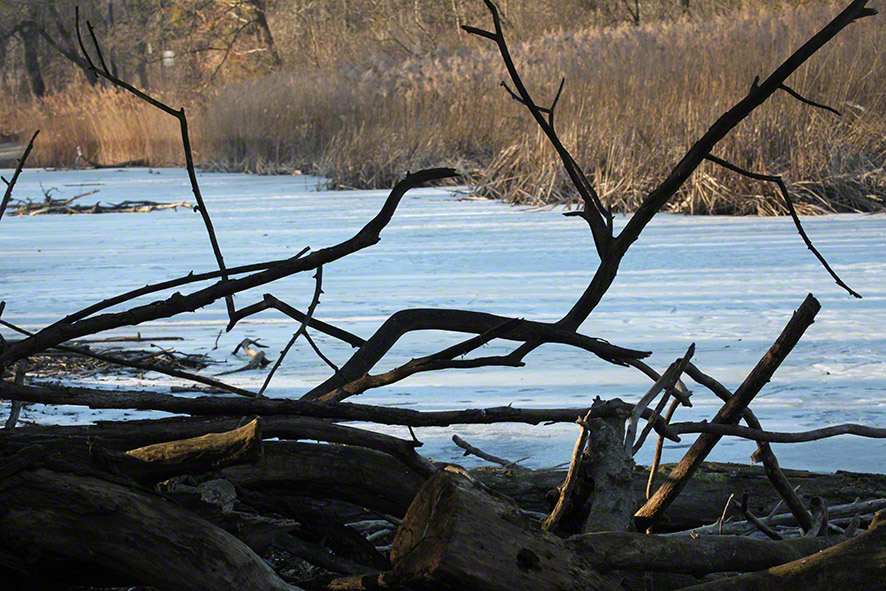 Lusthauswasser, vereist