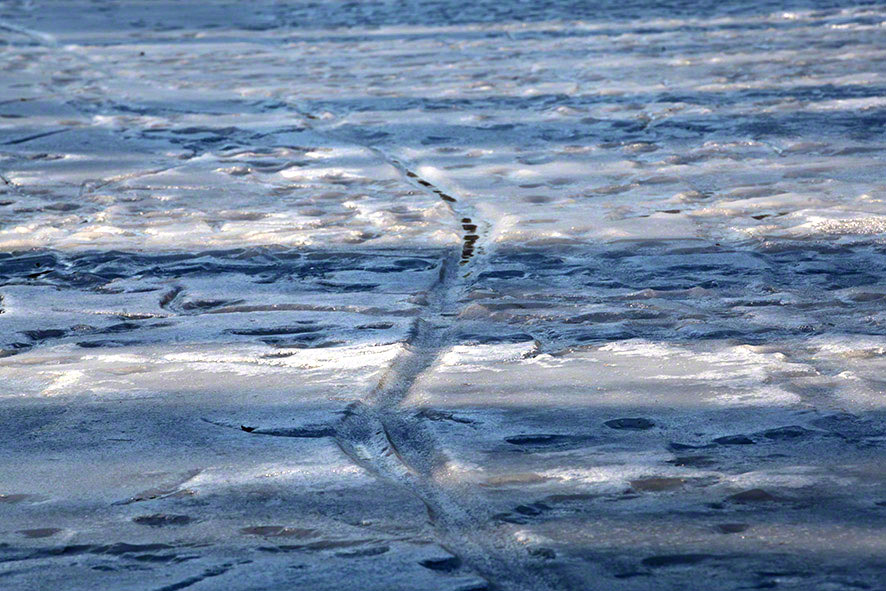 Lusthauswasser, vereist