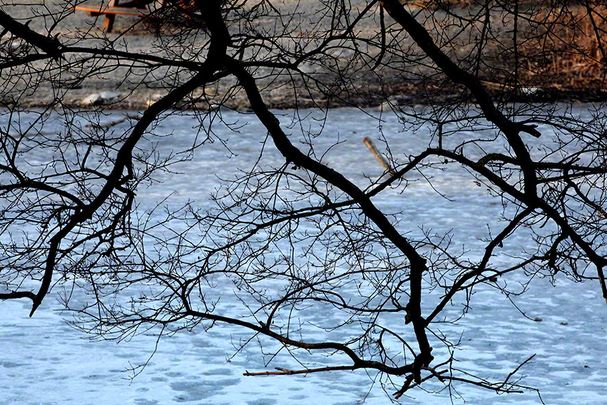 Lusthauswasser, vereist