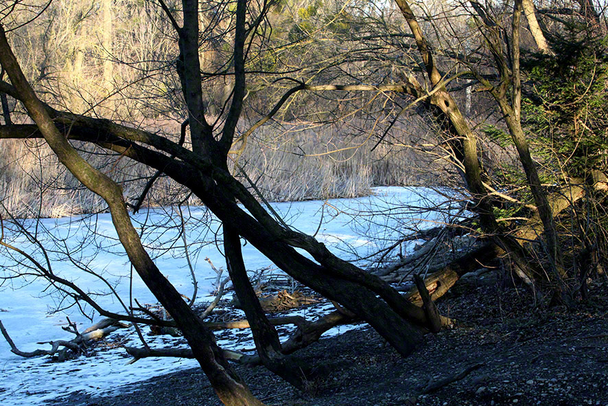 Lusthauswasser, vereist