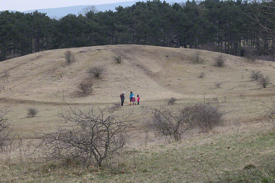 Perchtoldsdorf Heide