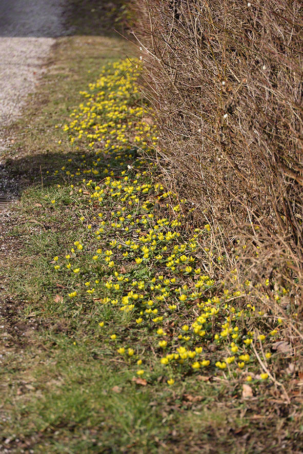 Hintersdorf Winterling